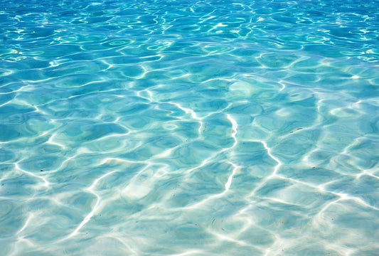 EC副業の売上の経緯