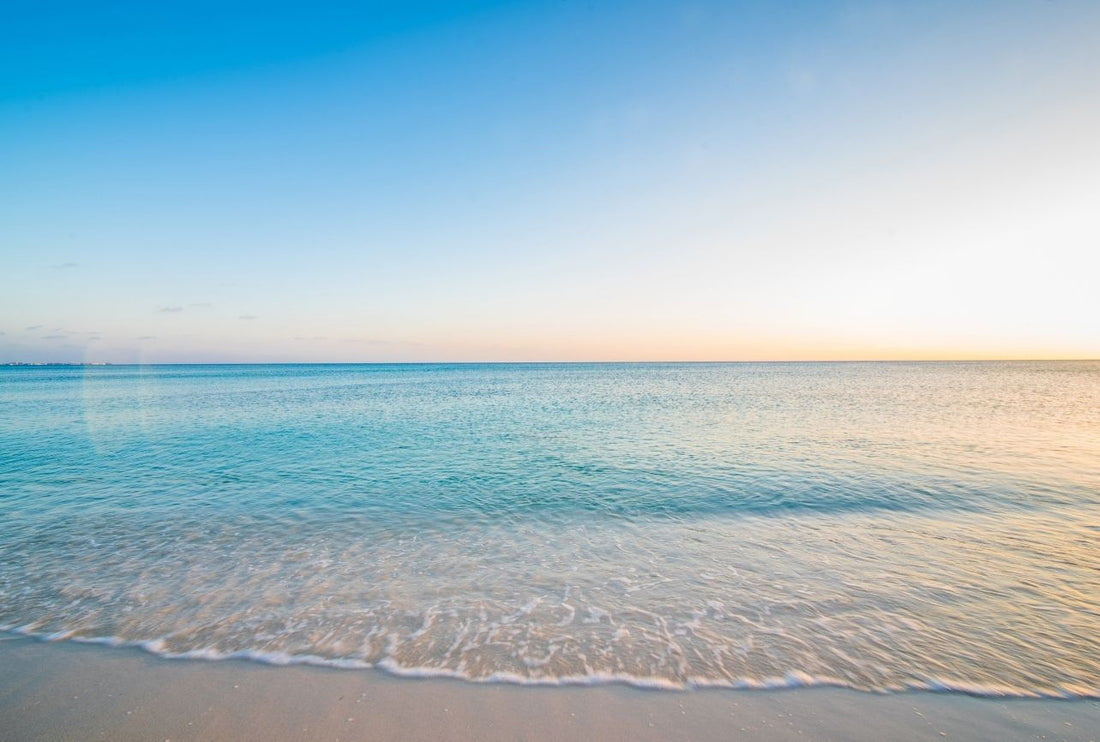 EC副業で0→1達成（初報酬）の振り返り