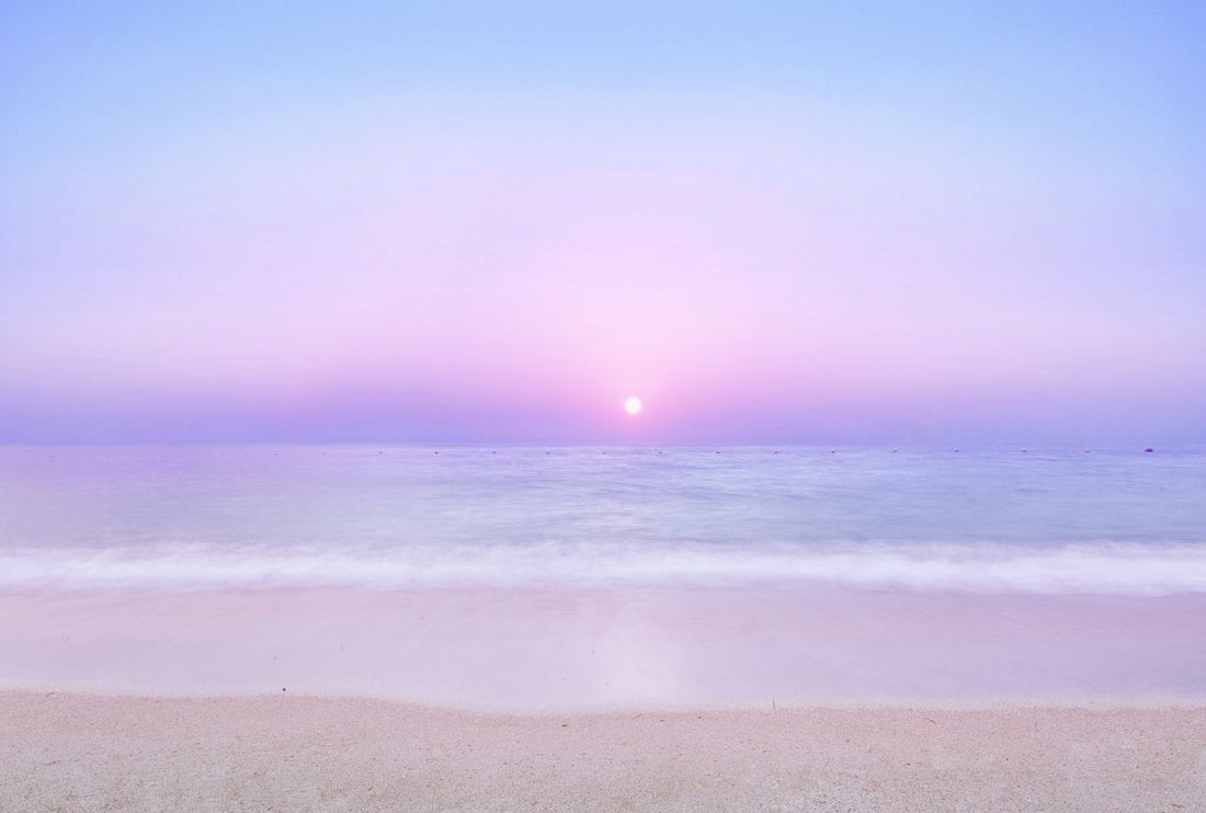 EC副業のメンター